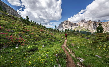 A lone hiker explores a stunning trail surrounded by alpine flowers and majestic mountains in the Dolomites. HD wallpaper
