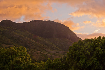 Nature, Trees, Sky, Mountains, Dawn HD wallpaper