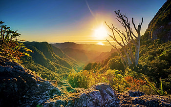 Sunny morning in a Mountain Valley, trees, sky, mountains, sun, rocks HD wallpaper