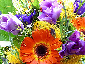 Valentines-Day-Gift, valentines-day, beautiful, gift-flowers HD wallpaper