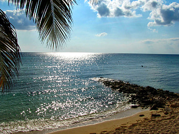 Before The Sunset, blue, sand, palm, tropical, mexico, beach, clouds, trees, nature, sky, water, sunset, ocean, cozumel HD wallpaper