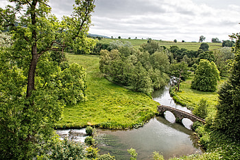 Landscape, Nature, Rivers, Trees, View From Above, Bridge HD wallpaper