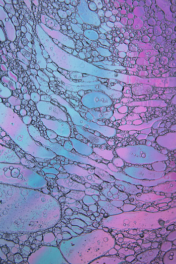 Abstract, Water, Bubbles, Form, Forms, Gradient HD phone wallpaper