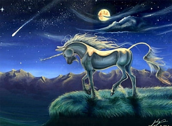 night walk, stars, dark HD wallpaper