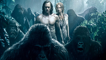 David Yates, Tarzan movie, Cinphonic vibes, Legendary director HD wallpaper