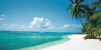 Cayman Islands , beauty, Stunning backgrounds, Caribbean bliss HD wallpaper