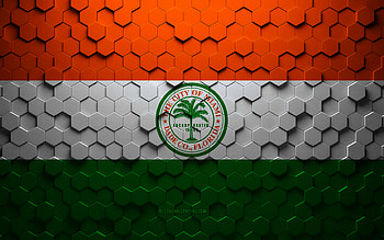 Flag of Miami, honeycomb art, Miami hexagons flag, Miami, 3d hexagons art, Miami flag HD wallpaper