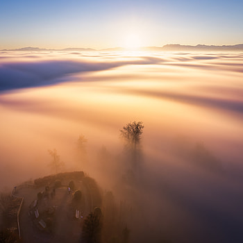 Nature, Clouds, Dawn, Shine, Light, Fog HD phone wallpaper
