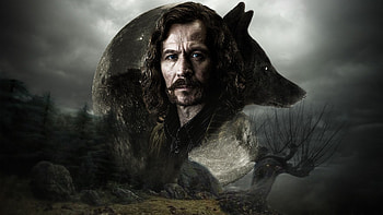 Sirius Black, Harry Potter series, , Mysterious character HD wallpaper