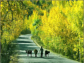 Hunza-Pakistan, hunza, beautiful, pakistan HD wallpaper
