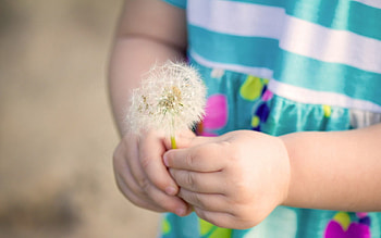 Miscellanea, Miscellaneous, Girl, Mood, Dandelion HD wallpaper
