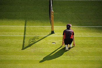 Waiting on the green, shadow, 2012 olympics, wimbledon, grass, net, green, tom lovelock, lines, ball girl HD wallpaper