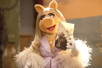 Miss Piggy, movie, The Muppets (TV Show) HD wallpaper