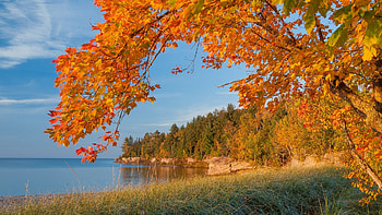autumn lake, branch, autumn, nature, lake HD wallpaper