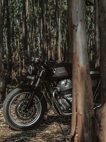 Motorcycles, Forest, Motorcycle, Bike, Royal Enfield HD phone wallpaper