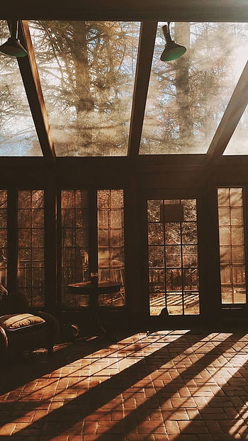 Brown Aesthetic, Brown Shadow HD phone wallpaper
