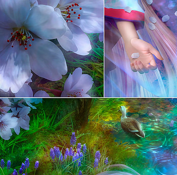 Asaki Yumemishi (collage), duck, fantays, spring, hand, collage, flower, sakura, luminos, water, shu HD wallpaper
