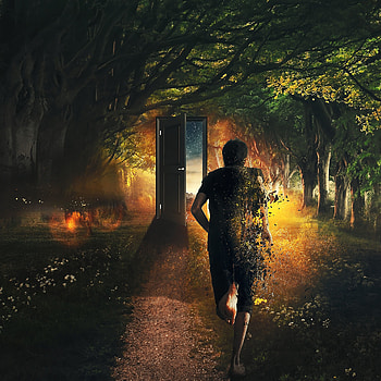 Art, Forest, Human, Person, Imagination, Door, Run, It's Time, Time, Running HD phone wallpaper