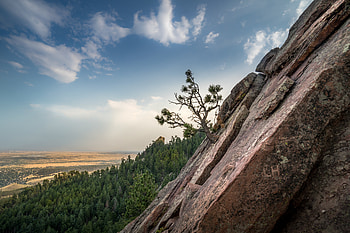 Nature, Horizon, Wood, Forest, Tree, Slope HD wallpaper