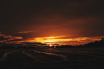 Evening Sunset , evening, sunset, nature, field HD wallpaper