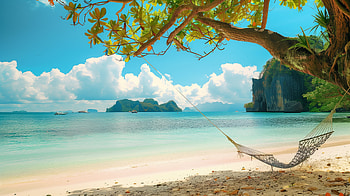 Summer Serenity: Beach Hammock, summer, beach, sea, hammock, nature HD wallpaper