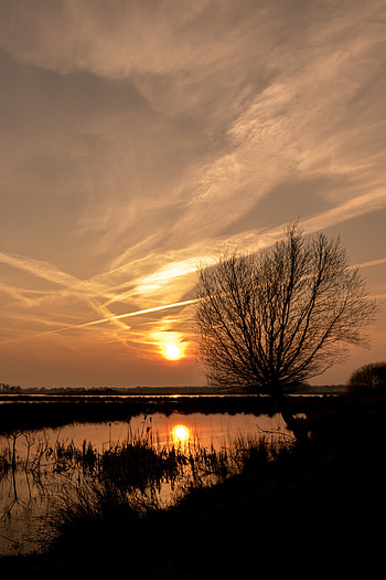 Nature, Water, Trees, Sunset, Sun HD phone wallpaper