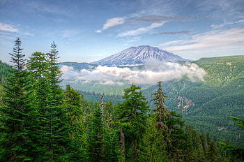 Nature, Trees, Mountains, Usa, Fog, United States, r, Washington HD wallpaper