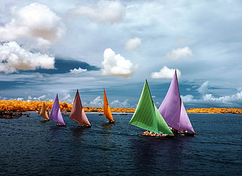 Beautiful Sailboats, sailboats, oceans, trees, colors, autumn, sky, beautiful HD wallpaper