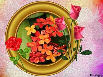 FRAMED ORANGE FLOWERS, FLOWERS, ORANGE, FRAMED HD wallpaper