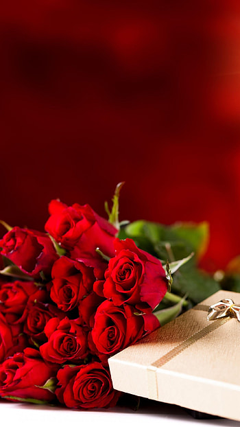 Happy Birtay, Red Roses HD phone wallpaper