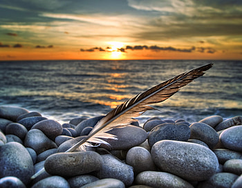In the Rocks there Life, horizon, birds, awesome, bay, nice, background, scenery, feather, gulls, fullscreen, ocean, scenario, sunsets, sundown, landscape, rocks, panorama, stones, nature, sunligkts, natural, coast, , amazing, water, sun, scene, sunrises, r, beautiful, lagoons, seagulls, , lakes, life, cool, clouds, sky, rivers HD wallpaper