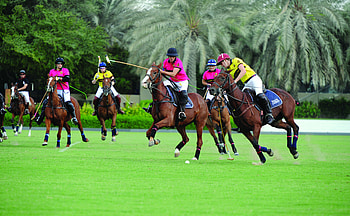 Ralph Lauren International Ladies Tournament, Horse Polo HD wallpaper
