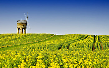 Summer field, windmill, path, colors, beautiful, grass, summer, field, yellow, nature, sky HD wallpaper