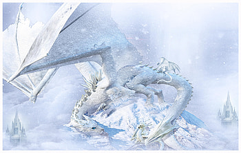 Shade of winter, dragon, digital art, art, fantasy HD wallpaper