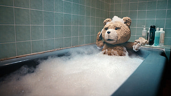 Ted, Movie, Ted (Movie Character) HD wallpaper
