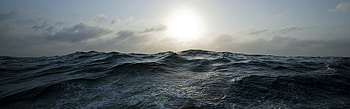 Panoramic for Windows 10 - afari HD wallpaper