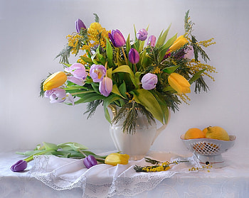 soft, still life, flowers, abstract HD wallpaper