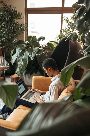 Diligent young professional working in a plant-filled modern office lounge. HD phone wallpaper