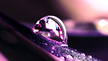 Dew Purple Petal Drops Blur Background Macro HD wallpaper