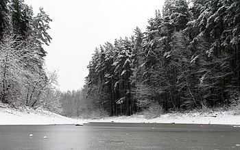 Winter, Nature, Rivers, Trees, Ice, Snow, Bw, Chb HD wallpaper