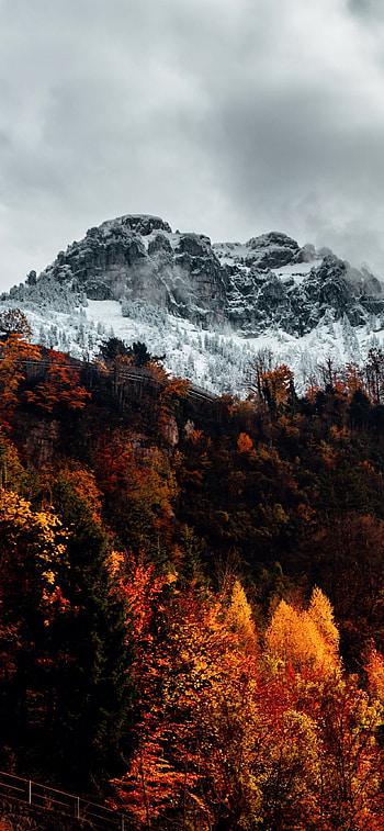 Alps, Autumn HD phone wallpaper