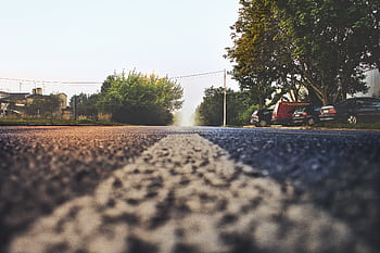 A foggy suburban street with cars parked alongside and trees on a misty morning. HD wallpaper