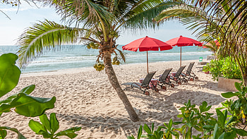 Paradise Beach, palm trees, shadows, sea, sand, loungers, umbrellas, tropical HD wallpaper