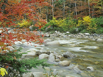 Landscape, Rivers, Autumn HD wallpaper