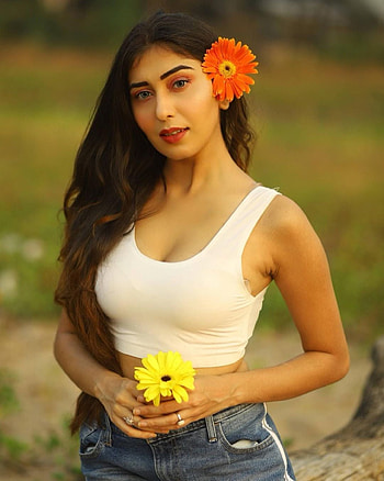 Ruma Sharma, graph, light HD phone wallpaper