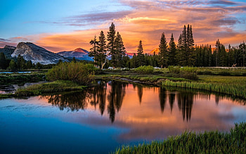 Wonderful nature, trees, wonderful, nature, lake HD wallpaper