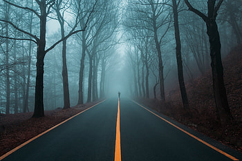 Highway through the forest, trees, forest, highway, silhouette HD wallpaper