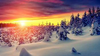 Sunset, Winter HD wallpaper