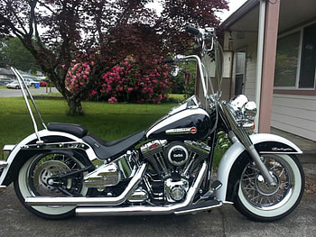 Revolucion, motorcycle, bike, harley HD wallpaper