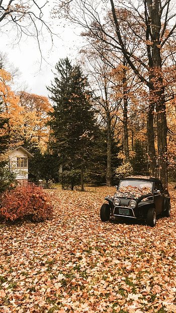 Retro scene, Autumn HD phone wallpaper